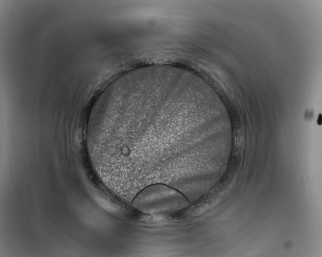 X0000101170503200807111055