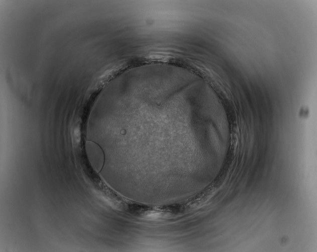 X0000101170504200807111055