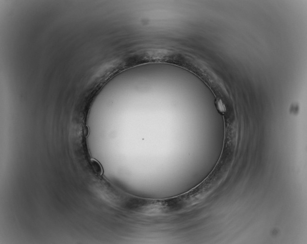 X0000101170505200807111055