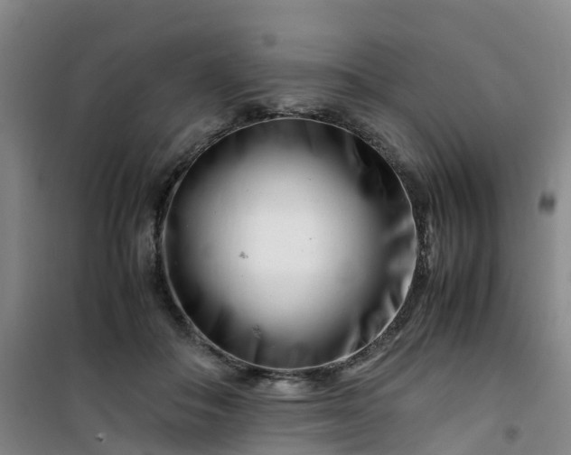 X0000101170506200807111055