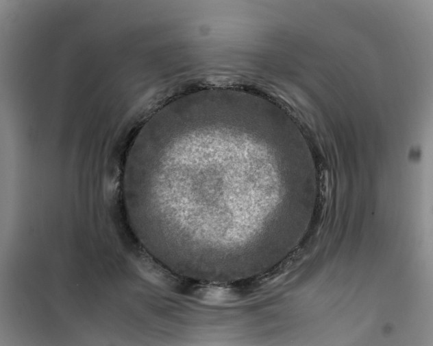 X0000101170507200807111055