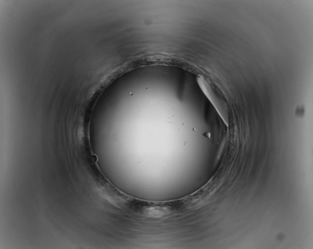 X0000101170508200807111055