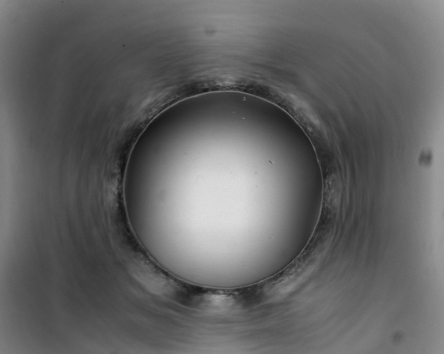 X0000101170509200807111055