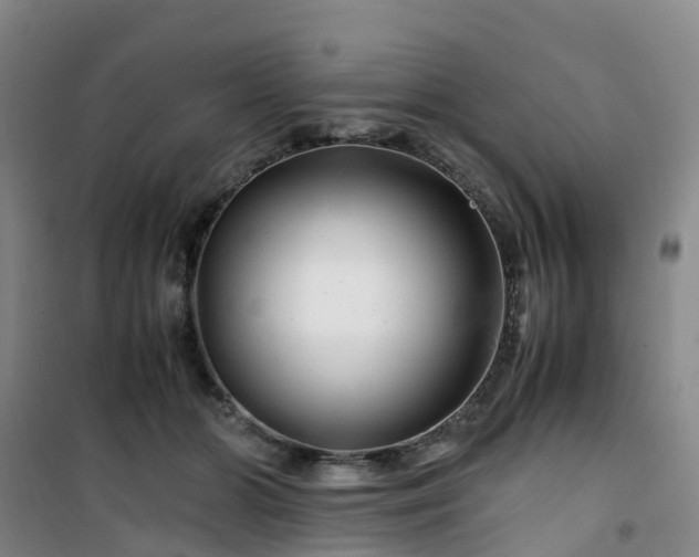 X0000101170510200807111055