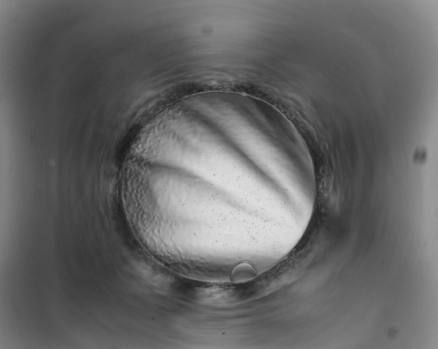 X0000101170511200807111055