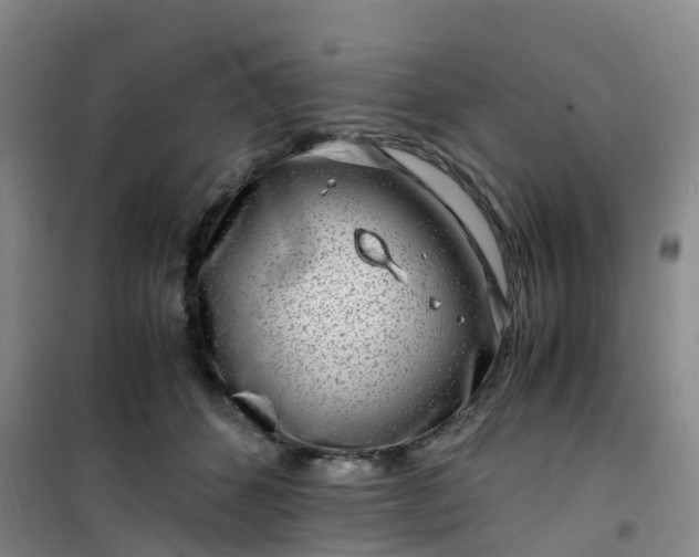 X0000101170512200807111055