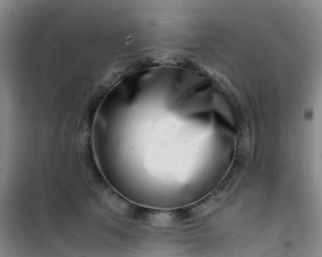 X0000101170513200807111055