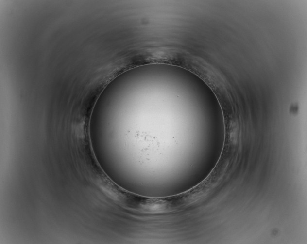 X0000101170514200807111055