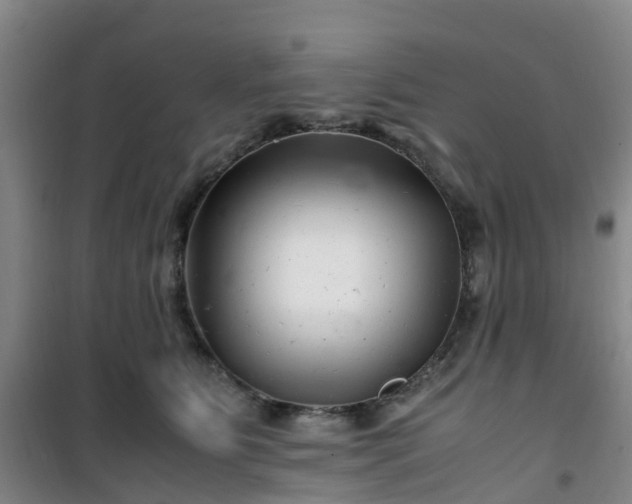 X0000101170515200807111055