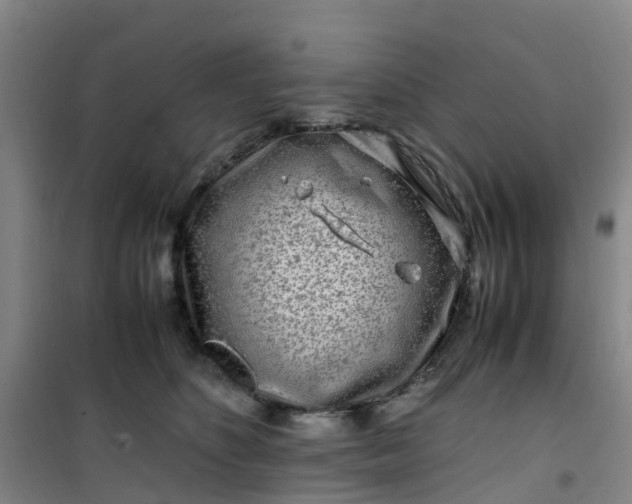 X0000101170516200807111055