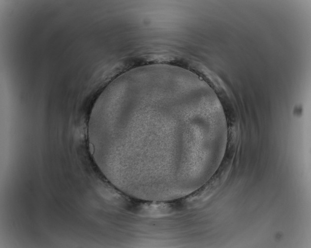 X0000101170517200807111055