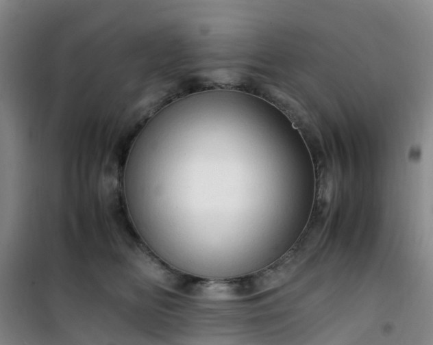 X0000101170518200807111055