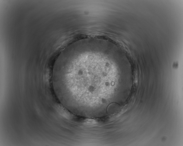 X0000101170519200807111055