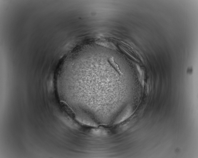 X0000101170520200807111055