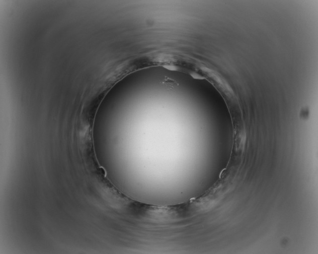 X0000101170521200807111055