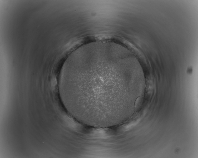 X0000101170523200807111055