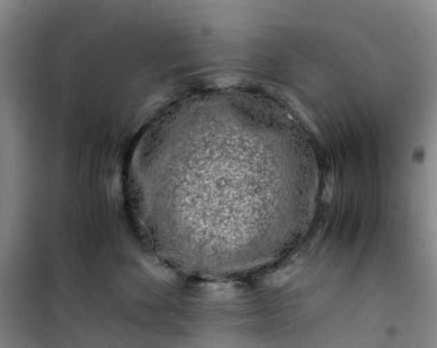 X0000101170524200807111055