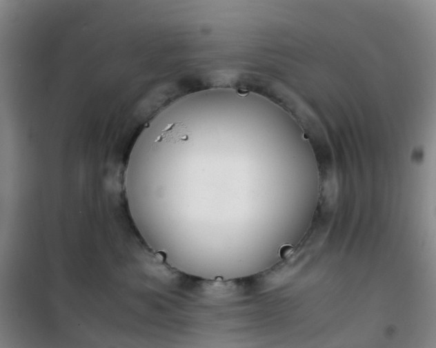 X0000101170525200807111055