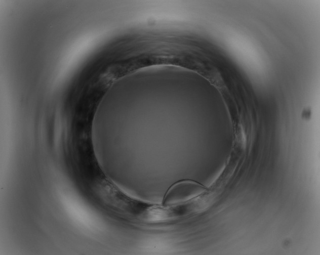 X0000101170526200807111055
