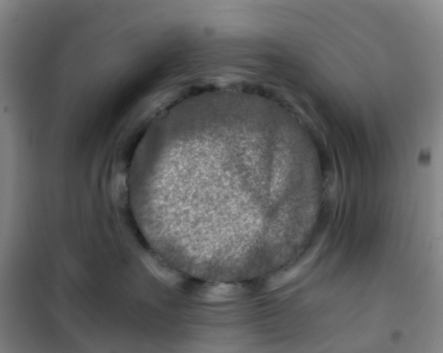 X0000101170527200807111055