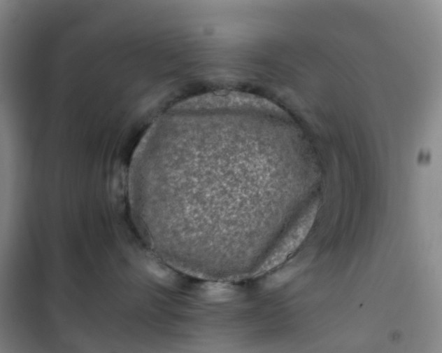 X0000101170528200807111055