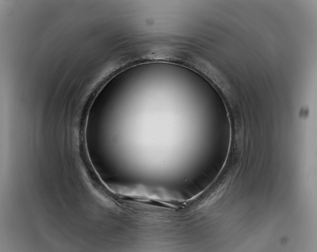 X0000101170530200807111054