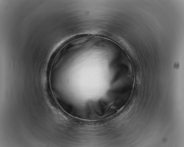 X0000101170532200807111054
