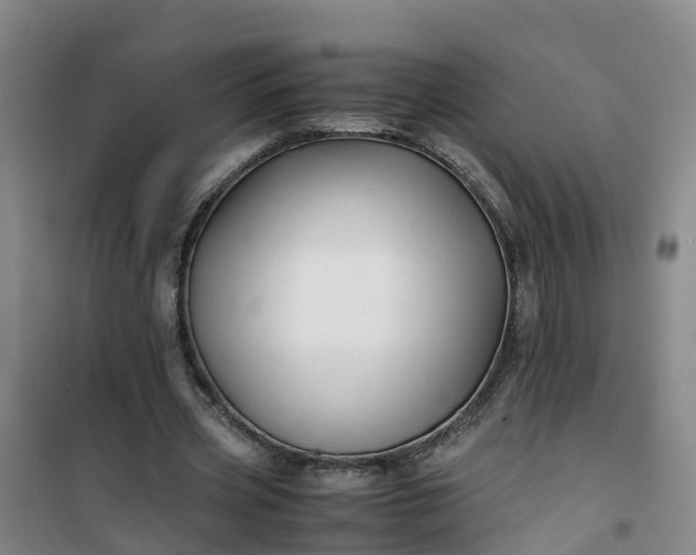 X0000101170533200807111054