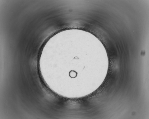X0000101170534200807111054