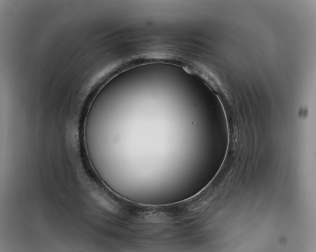 X0000101170535200807111054
