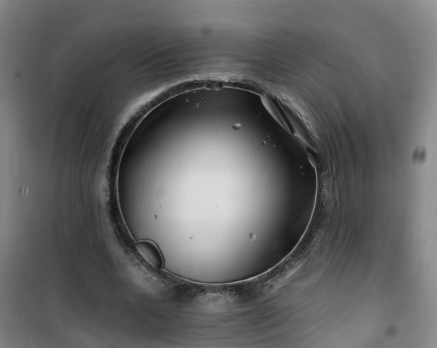 X0000101170536200807111054