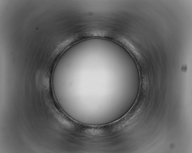 X0000101170537200807111054