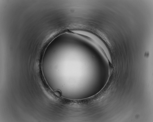 X0000101170538200807111054