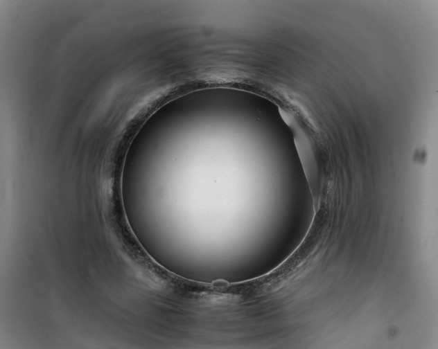 X0000101170539200807111054