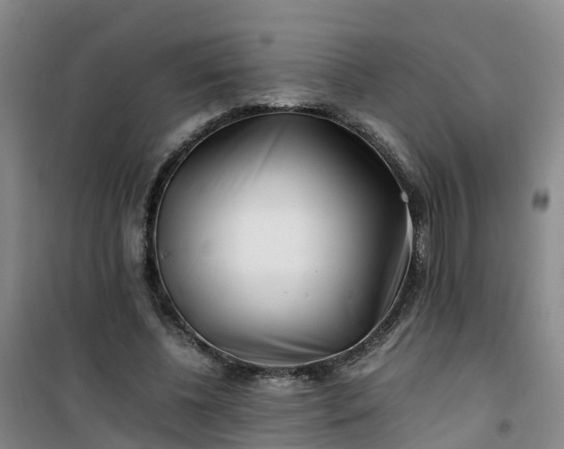 X0000101170540200807111054
