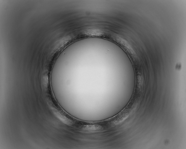 X0000101170541200807111054