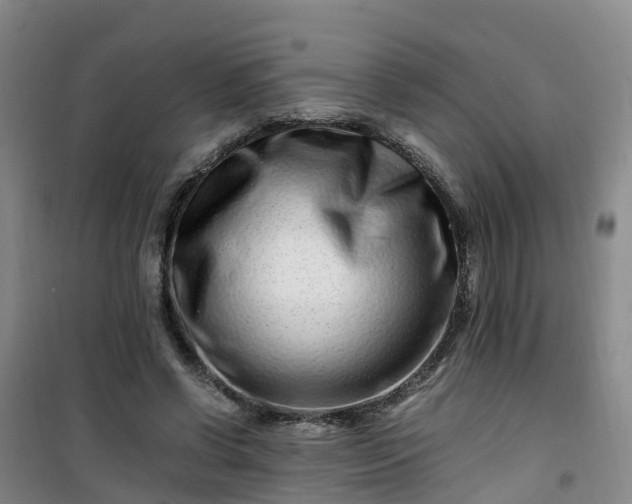 X0000101170542200807111054