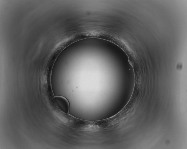 X0000101170543200807111054
