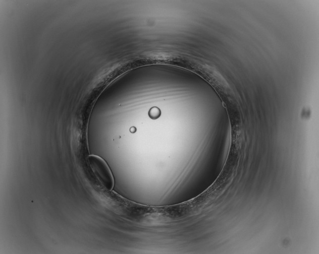 X0000101170544200807111054