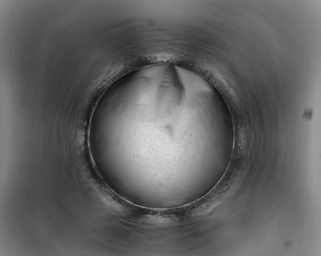 X0000101170545200807111054