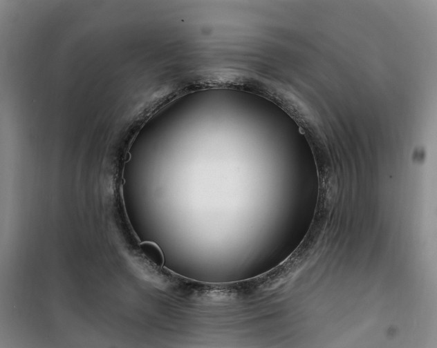 X0000101170546200807111054