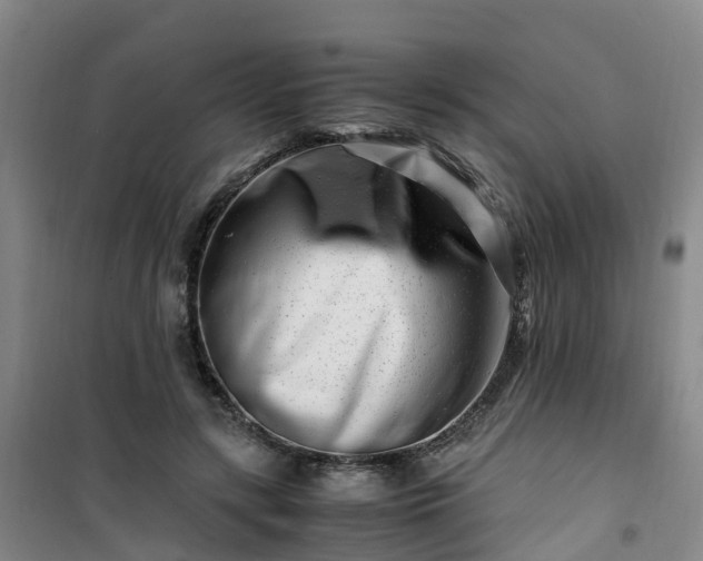 X0000101170547200807111054