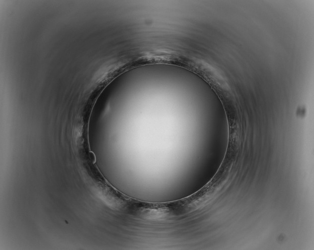X0000101170548200807111054
