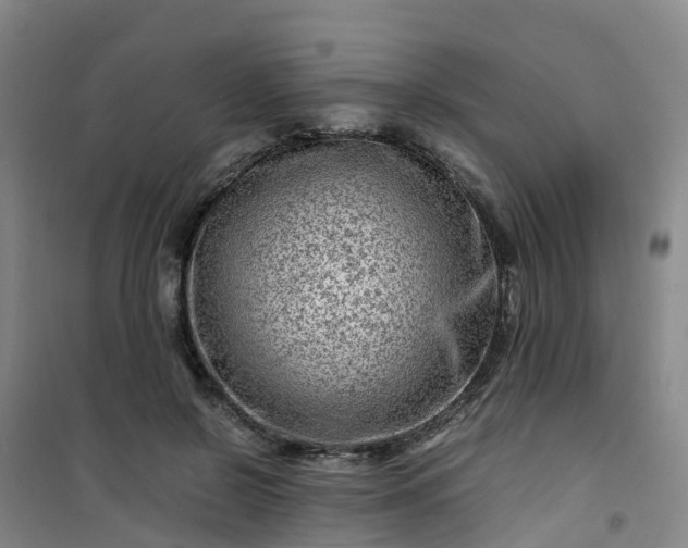 X0000101170550200807111054