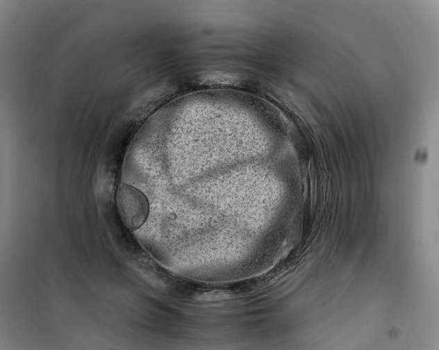 X0000101170551200807111054