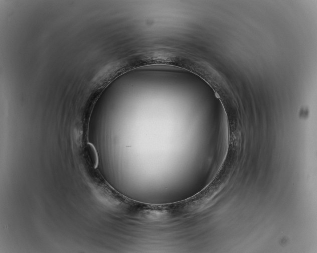 X0000101170552200807111054