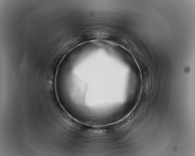 X0000101170553200807111054