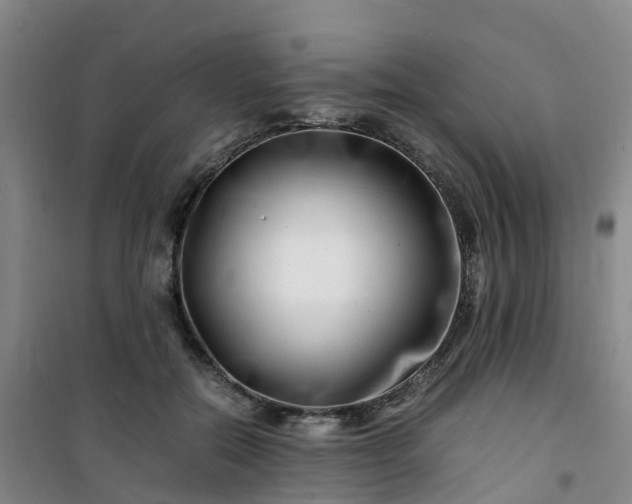 X0000101170554200807111054