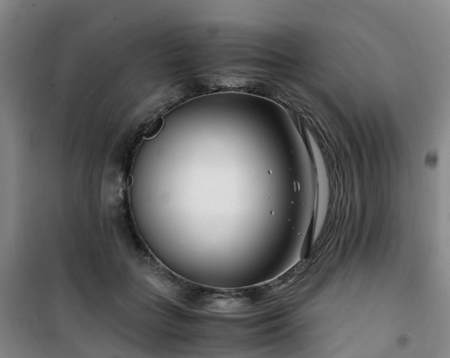 X0000101170555200807111054