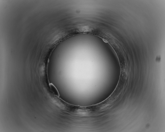 X0000101170556200807111054